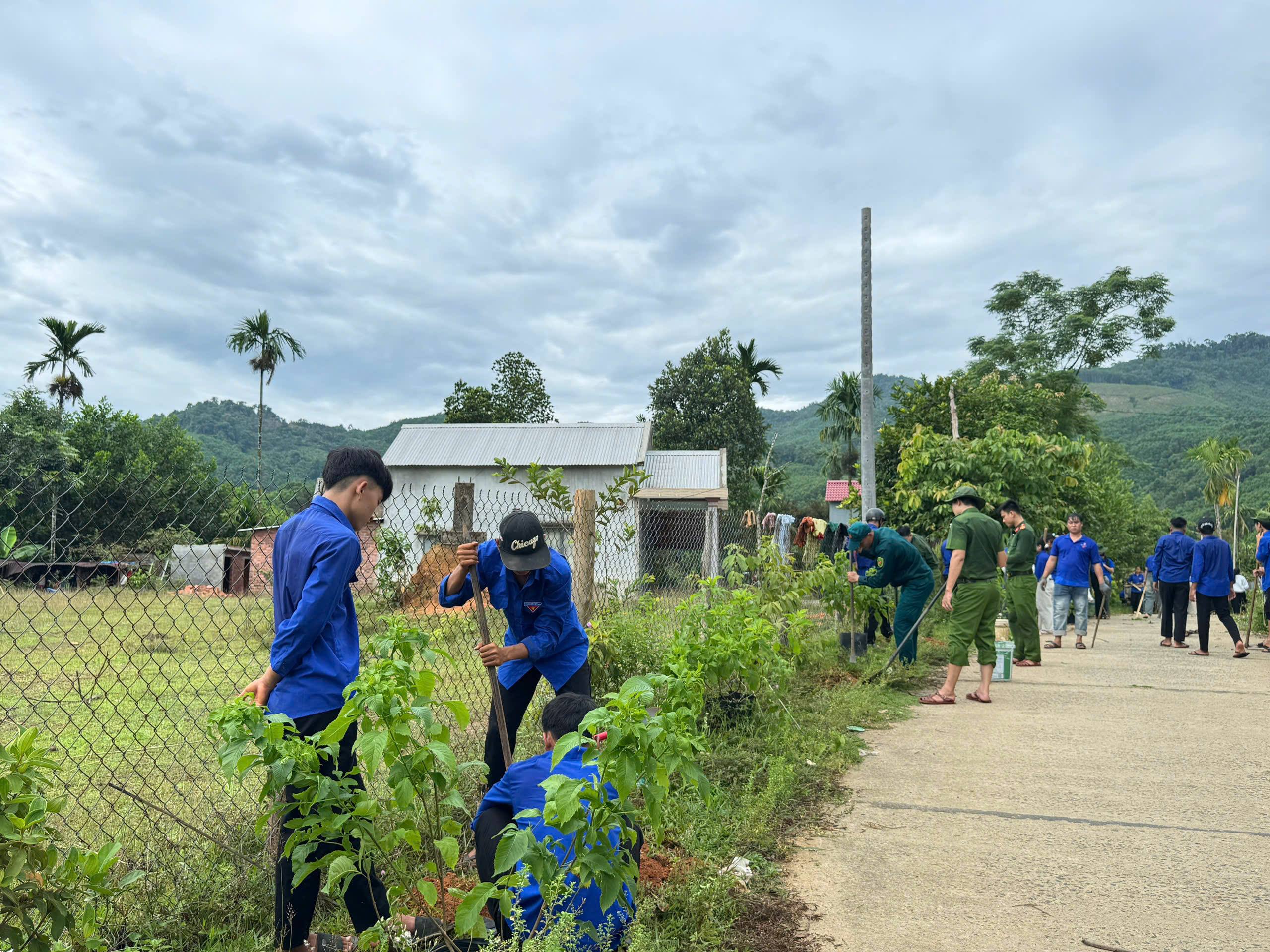 anh tin bai